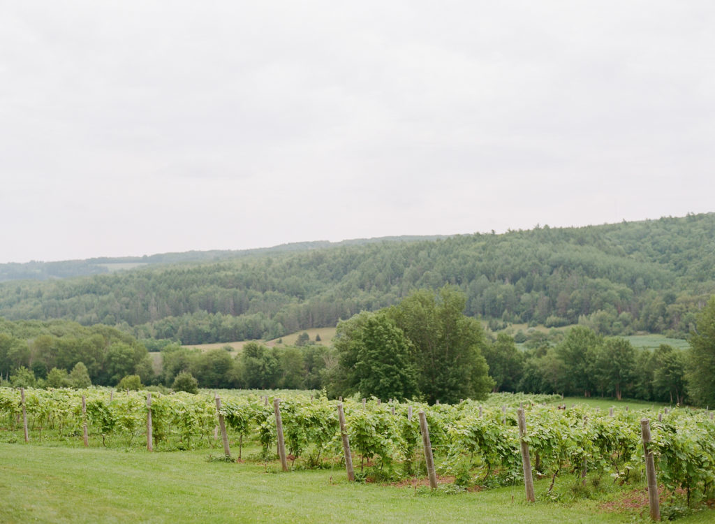 The view of Gaspereau Valley at Benjamin Bridge Winery, Vineyard Weddings in Nova Scotia, Jacqueline Anne Photography, Halifax Wedding Photographer