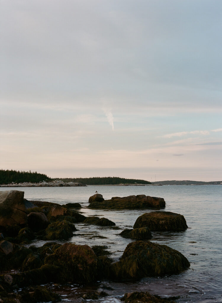 Nova Scotia Engagement Session captured on Film by Halifax Wedding Photographer, Jacqueline Anne Photography.